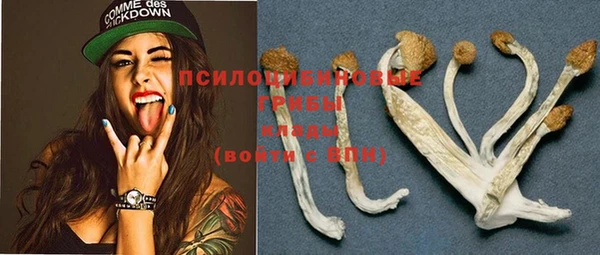 винт Алексин