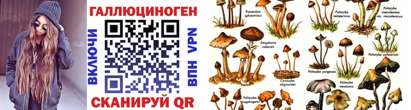 Псилоцибиновые грибы Psilocybine cubensis  наркота  Лобня 